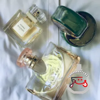 Ivoire Pierre Balmain