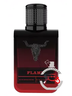 واکن فلیم واکن | wacken flame wacken