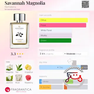 Savannah Magnolia Nomaterra
