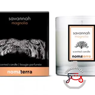 Savannah Magnolia Nomaterra