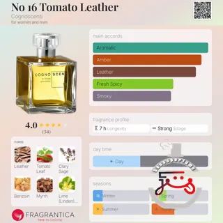 No 16 Tomato Leather Cognoscenti