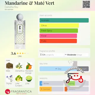 Mandarine & Maté Vert Carlotha Ray