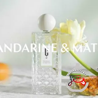 Mandarine & Maté Vert Carlotha Ray