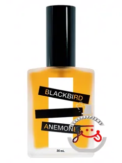 آنمون بلک‌برد | anemone blackbird