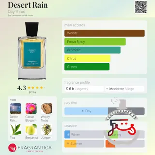 Desert Rain Day Three