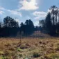 Bow collector