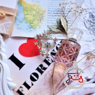 Florence Roberto Cavalli