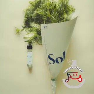 Sol Vert 青葵 (Parfum en Brume) Aromag 岩兰