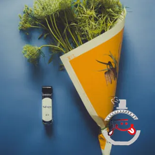 Sol Vert 青葵 (Parfum en Brume) Aromag 岩兰