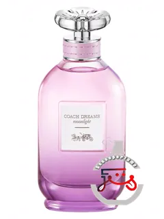 کچ دریمز مون‌لایت کچ | coach dreams moonlight coach