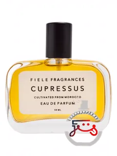 کوپرسوس فیله فرگرنسز | cupressus fiele fragrances