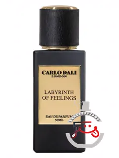 لابیرنت احساسات کارلو دالی | labyrinth of feelings carlo dali