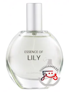 اسنس آف لیلی سی اند ای | essence of lily c&a