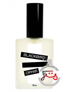 آفیر بلک‌برد | ophir blackbird