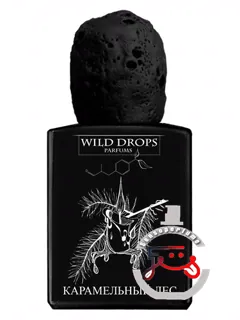 کارامل فرست (کاراملی لس) وایلد دراپس پارفوم | caramel forest (карамельный лес) wild drops parfums
