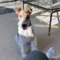 Cannedpeaches