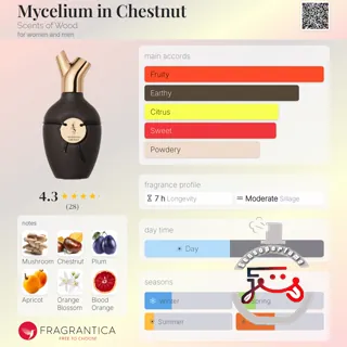Mycelium in Chestnut Scents of Wood