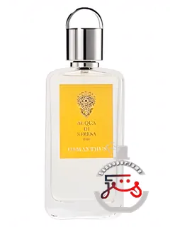 آزمانتوس آکوا دی استرسا | osmanthus acqua di stresa