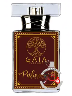 «پشاور، شهری از گل‌ها، گایا پرفیوم» | peshawar a city of flowers gaia parfums