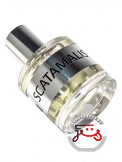جی‌دی اسکاتامالیس بیس جی‌دی جفری دیم | jd scatamalis base jd jeffrey dame
