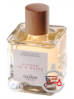 جینجر این دی میجر د کولن هاوس | ginger in d major the cologne house