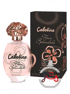 کابوتین فلور اسپلاندید گرس | cabotine fleur splendide grès