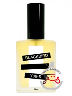 وای صفر شش دش بلک‌برد | y06-s blackbird