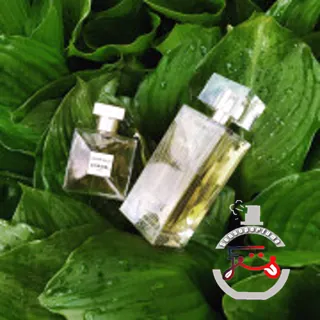 Nilang 2011 Lalique