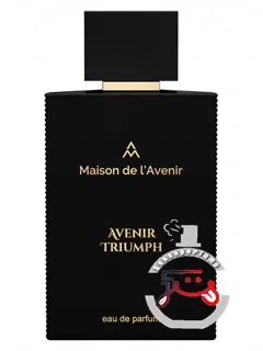 آونیر تریومف مزون دو لاونیر | avenir triumph maison de l'avenir