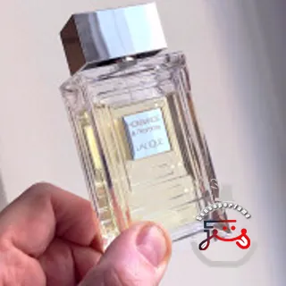 Hommage à l'Homme Eau de Toilette Lalique