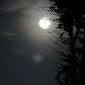 ام‌آر چهل‌وپنج