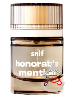 آنرابل منشن اسنیف | honorable mention snif