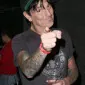 tommytlee