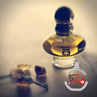 Ambre D'Orient Secret V Eisenberg