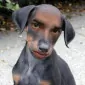 larabk