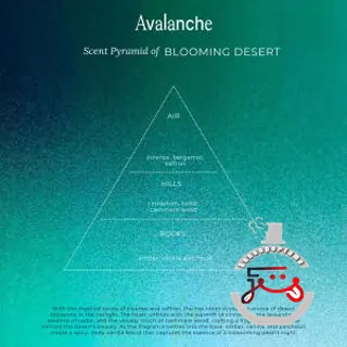Blooming Desert Avalanche Fragrance