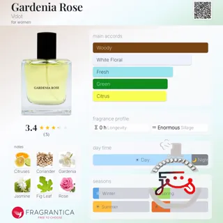 Gardenia Rose Vdot
