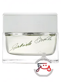 اشترنسه گابریله اشترله اشترنسه | strenesse gabriele strehle strenesse
