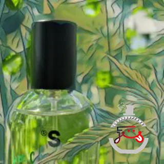Like Cannabis but Not Sister's Aroma