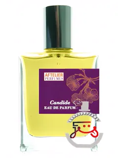 کاندید آفتلیه | candide aftelier