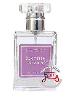 اسکاتیش اورکیس دایانا دراموند | scottish orchis diana drummond