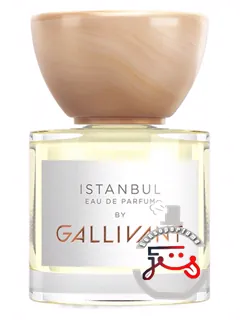 ایستانبول گلیوانت | istanbul gallivant