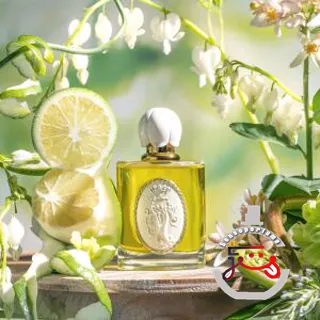 Green Fingers 绿手指 Beast 野兽派
