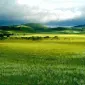 «چَراگاه‌ها» یا «مراتع» (با تلفظ دقیق فارسی: *چَرَگَاه‌هَا* یا *مَرَاتِع*)