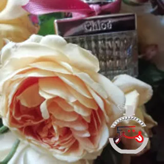 Chloé Roses de Chloé Chloé