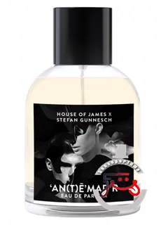 آنتمدر هاووس آو جیمز | an(t)ē’mad’r house of james