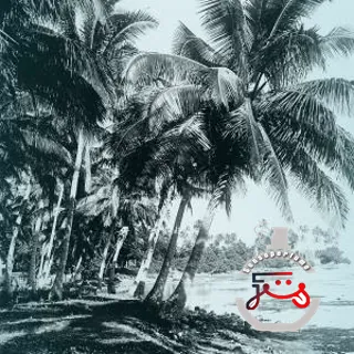 Or Des Îles Cherigan
