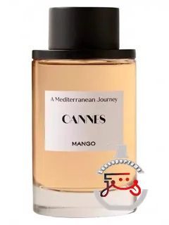 کان منگو | cannes mango