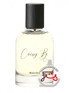 ویوز کئیزی بی | waves coisy b.