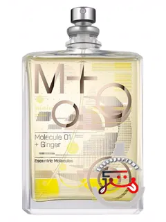 مولکول وان پلس جینجر اسنتریک مولکولز | molecule 01 + ginger escentric molecules